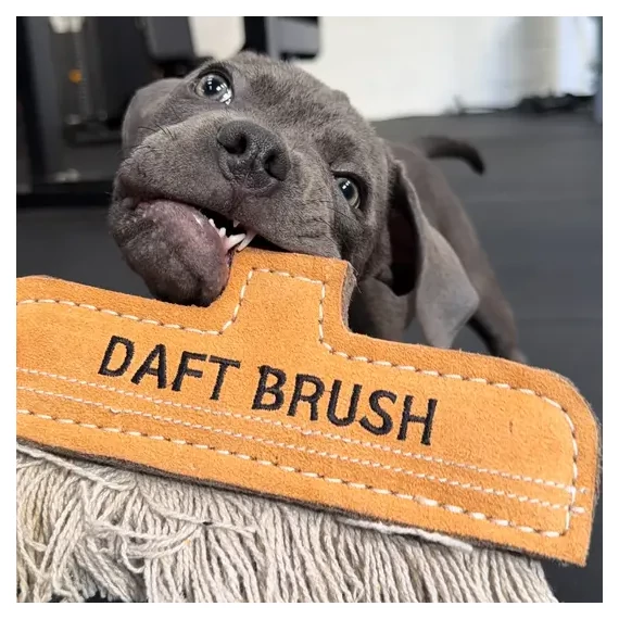 Öko Kutya Játék - Daft Brush