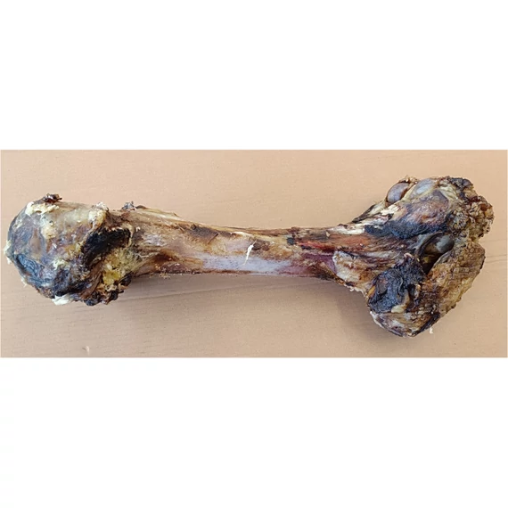 Teomann Marha Lábszárcsont 40–50 cm – intenzív rágóélmény nagytestű kutyáknak, 100% természetes marha